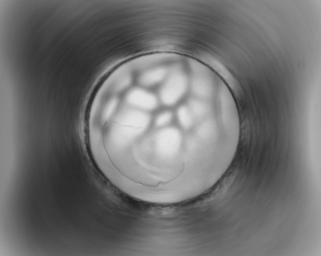 X0000091581051200709171112
