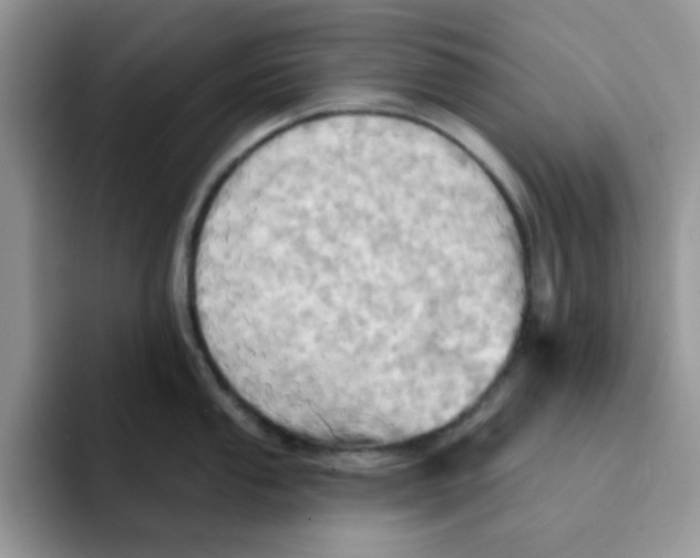 X0000091581053200709171112