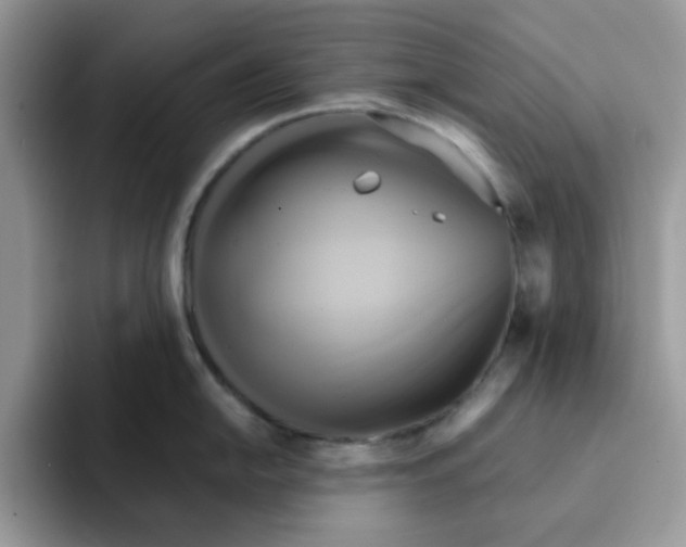 X0000091581054200709171112