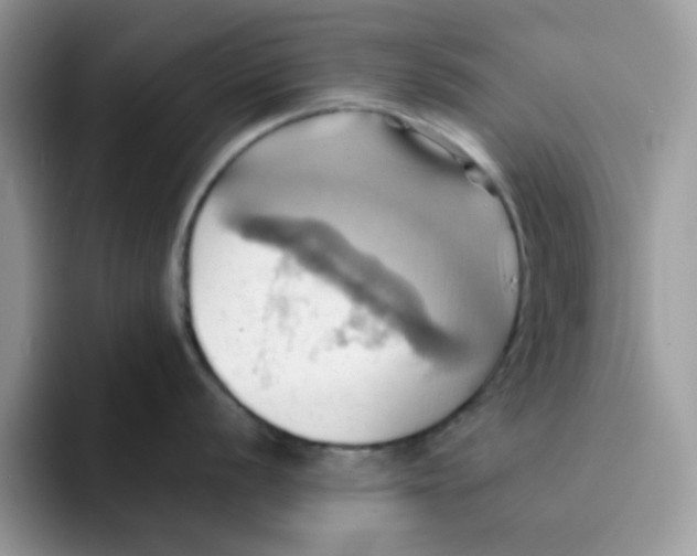 X0000091581056200709171112