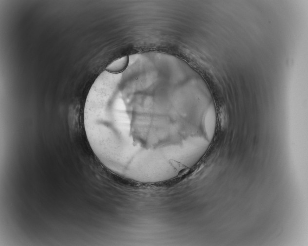 X0000091581059200709171112