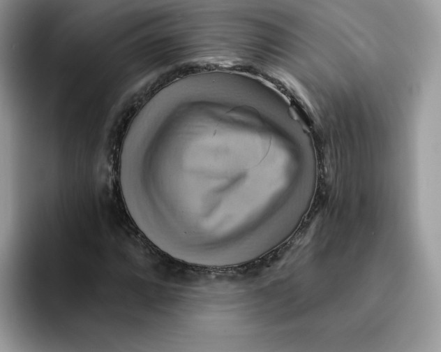 X0000091581064200709171111