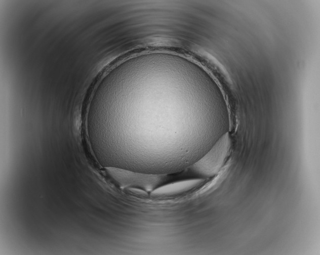 X0000091581065200709171111