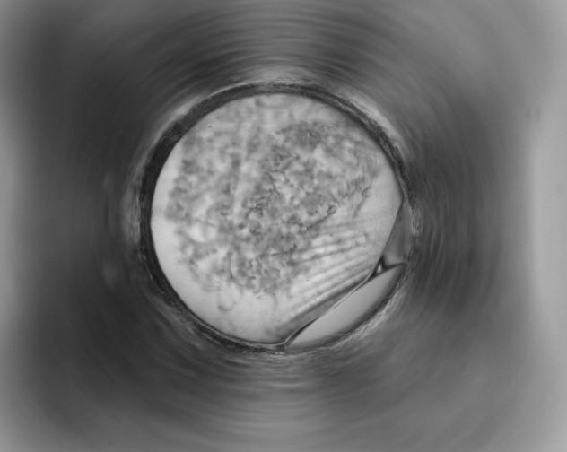 X0000091581067200709171111