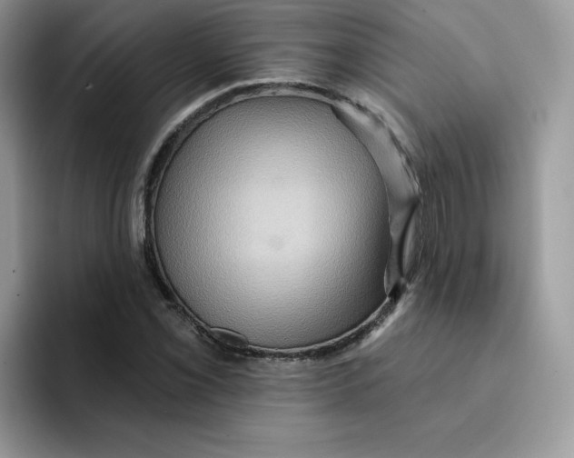 X0000091581069200709171111