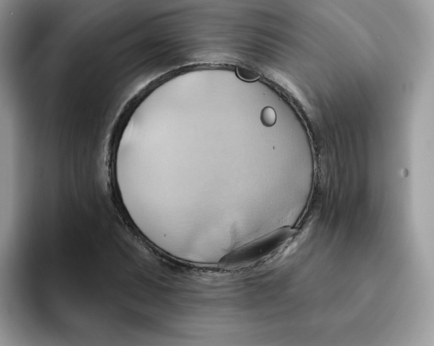 X0000091581071200709171111