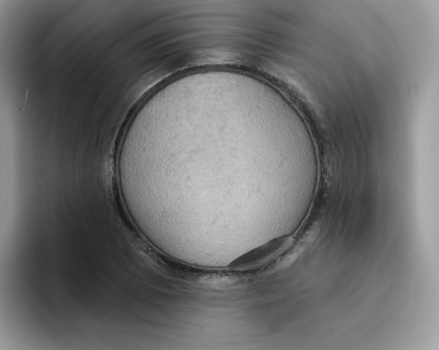 X0000091581073200709171111