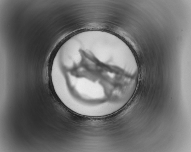X0000091581075200709171111