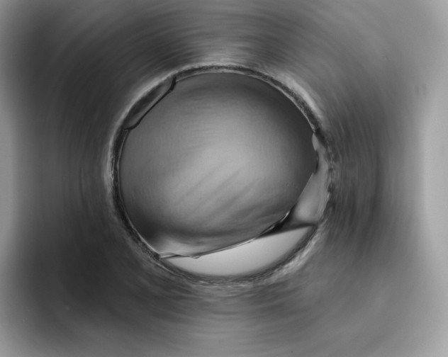 X0000091581077200709171111