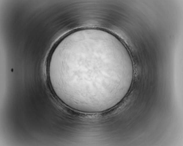 X0000091581078200709171111