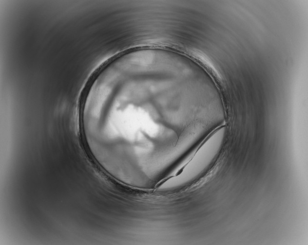 X0000091581079200709171111