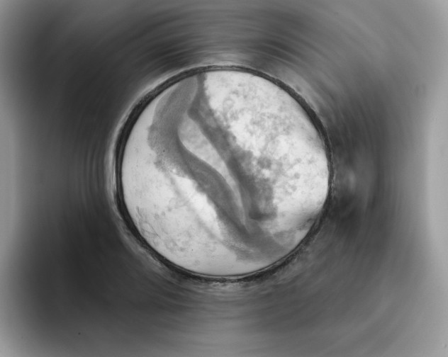 X0000091581080200709171111