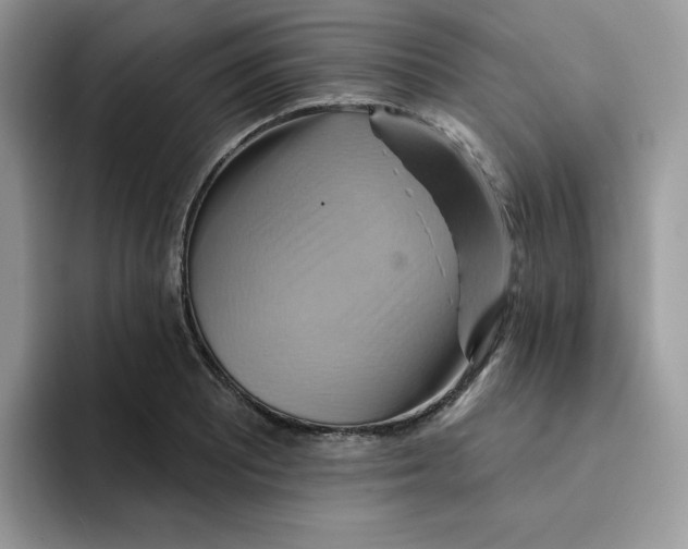 X0000091581081200709171111