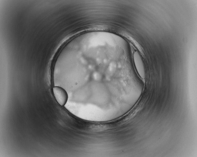 X0000091581083200709171111