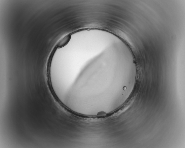 X0000091581087200709171111