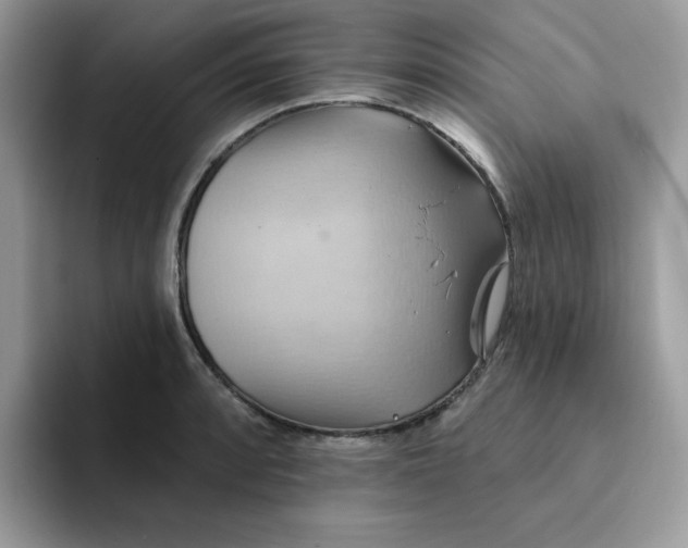 X0000091581088200709171111