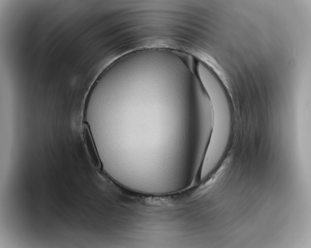 X0000091581089200709171111