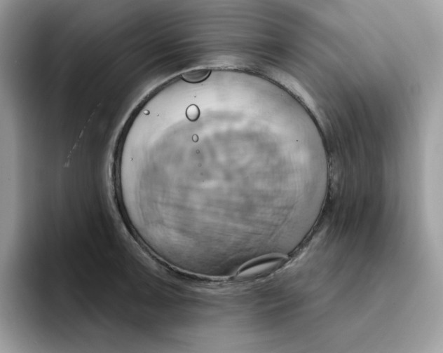X0000091581091200709171111