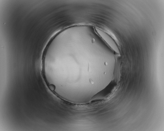 X0000091581095200709171111