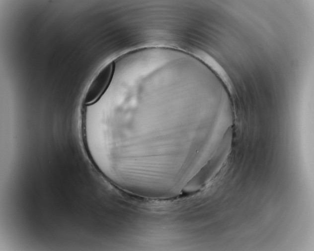 X0000091581096200709171111