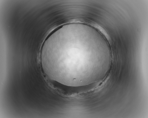 X0000091581097200709171111
