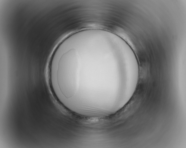X0000091581098200709171111