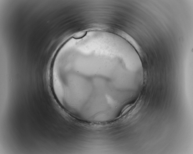 X0000091581099200709171111