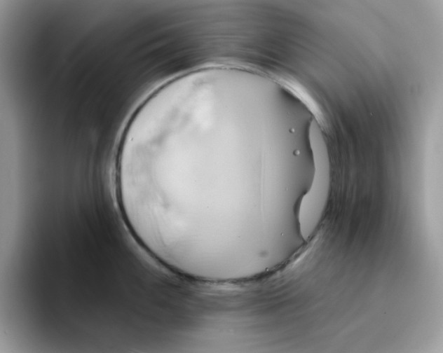 X0000091581100200709171111