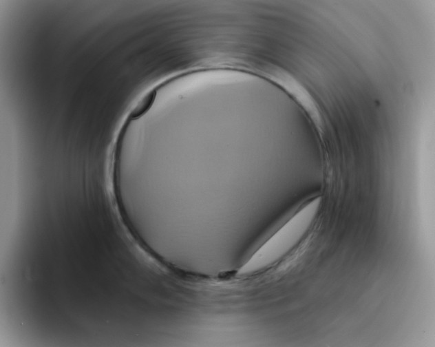 X0000091581102200709171111