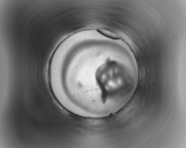 X0000091581103200709171111