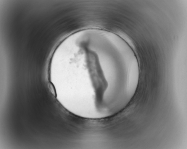 X0000091581104200709171111