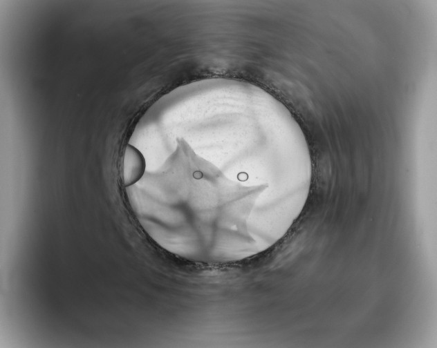 X0000091581105200709171110