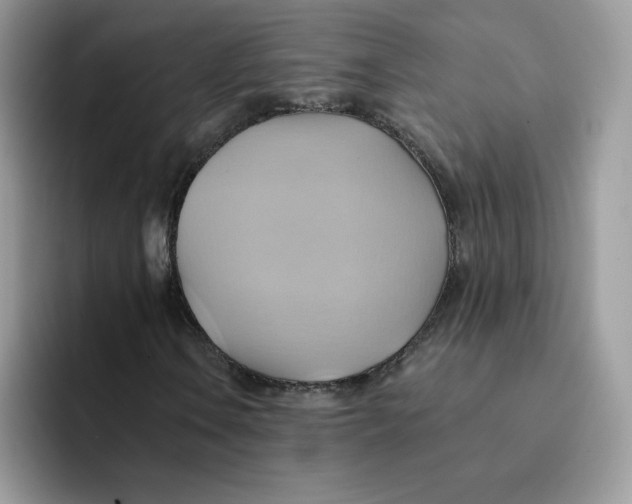 X0000091581106200709171110