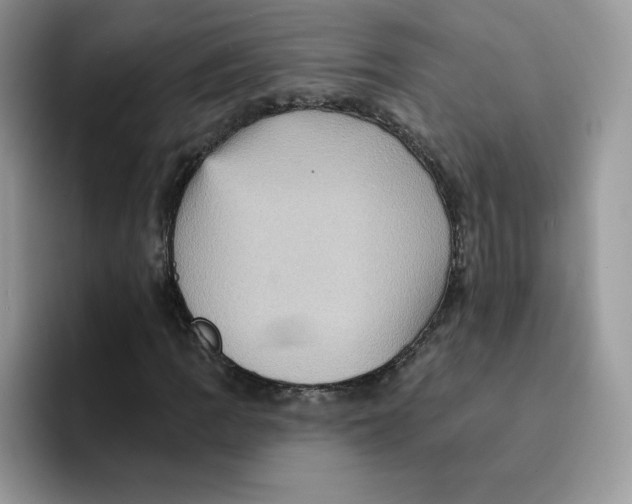 X0000091581109200709171110