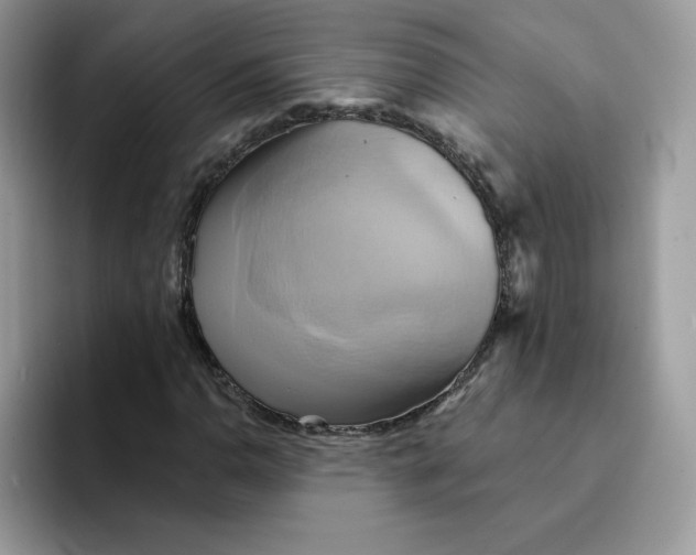 X0000091581110200709171111