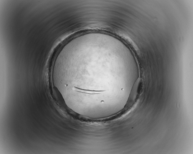 X0000091581114200709171111