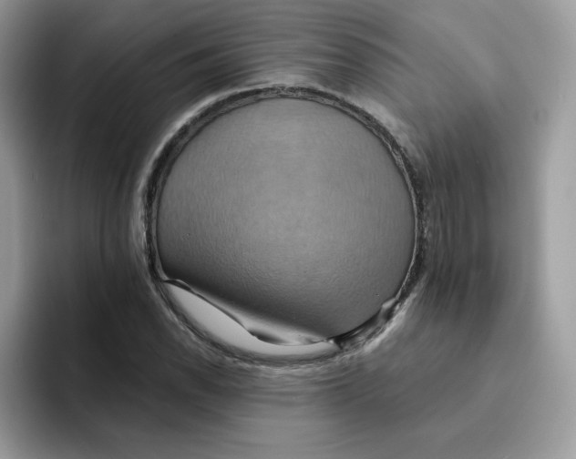 X0000091581118200709171111