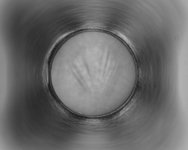 X0000091581123200709171111