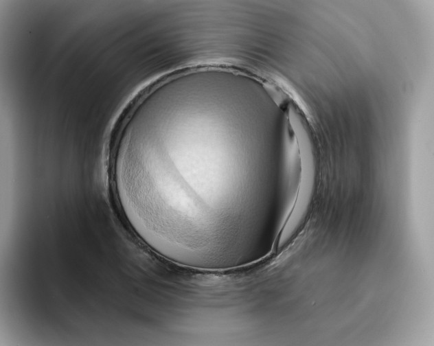 X0000091581124200709171111
