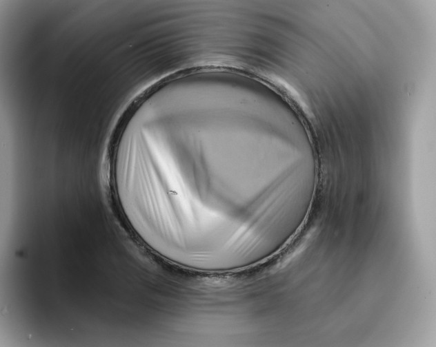 X0000091581125200709171111
