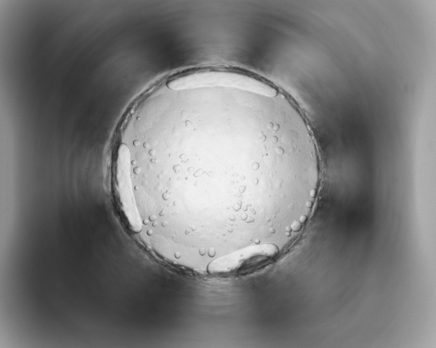 X0000091581126200709171111