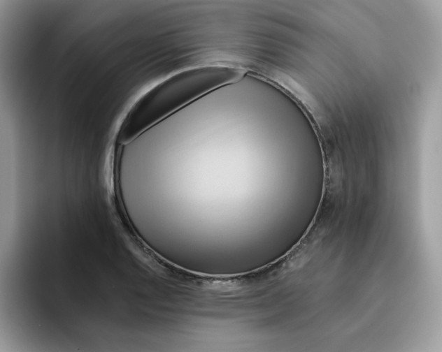X0000091581128200709171111