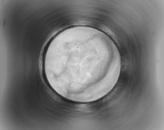 X0000091581130200709171111