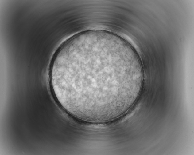 X0000091581133200709171111
