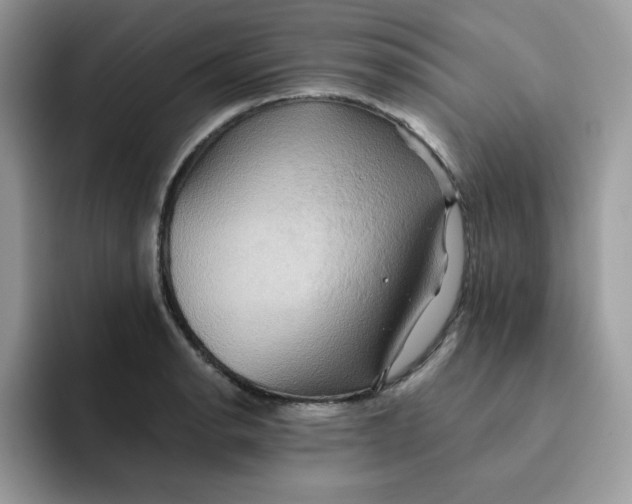 X0000091581134200709171111