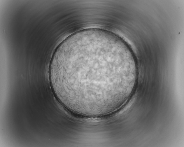 X0000091581137200709171111