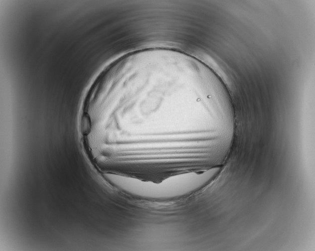 X0000091581140200709171111