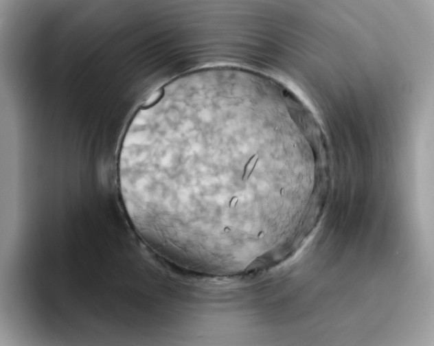 X0000091581145200709171111