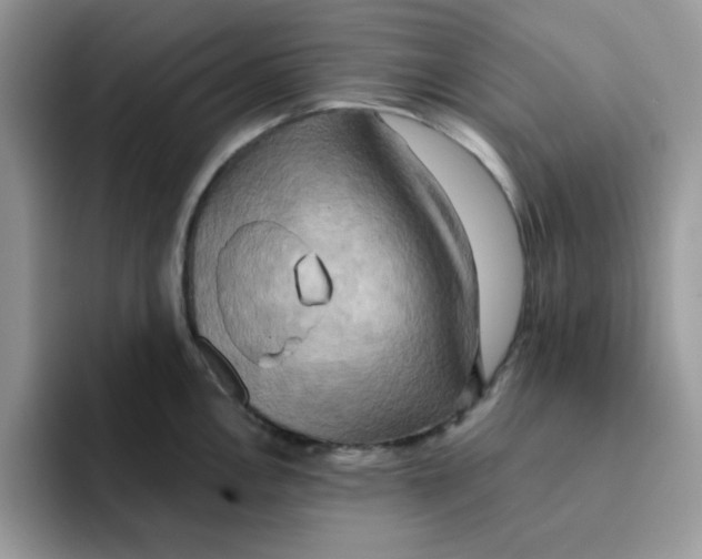 X0000091581146200709171111