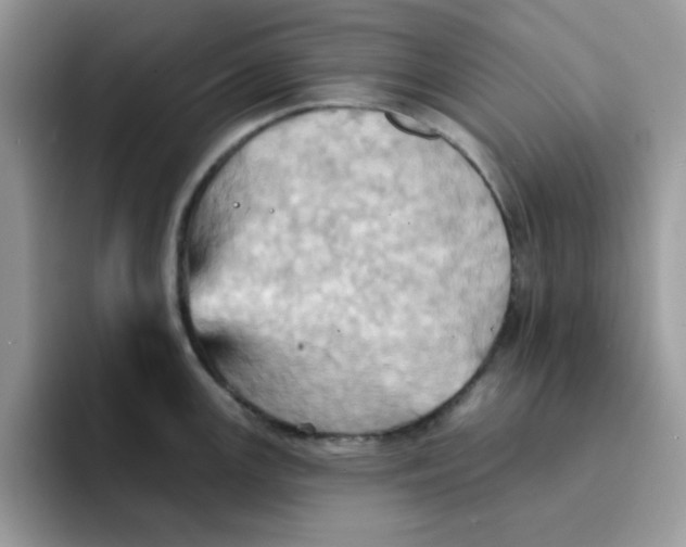 X0000091581147200709171111